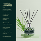 Advantages of reed diffuser