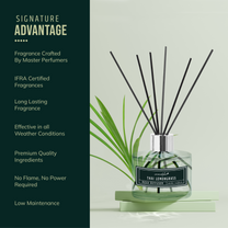 Aromahpure Premium Lemongrass Reed Diffuser 120 ML with 6 Fiber Reed Sticks