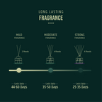 Reed Diffuser - Thai Lemongrass | 120 ML | 6 Reed Sticks