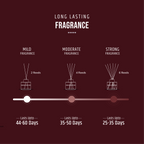 Reed Diffuser with long lasting Fragrance