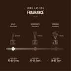 Warm vanilla long lasting fragrance