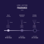 Long lasting Lavender reed diffuser