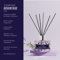 Aromahpure Premium French Lavender Reed Diffuser 120 ML with 6 Fiber Reed Sticks