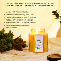 Aromahpure Soy Wax Hexa Jar Candle, 96 Hours Burning Time Guaranteed (Thai Lemongrass, Joyful Lavender)