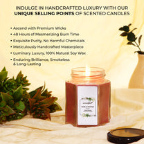 Aromahpure Soy Wax Hexa Jar Candle, 96 Hours Burning Time Guaranteed (Vanilla Fantasy, Frangipani Dreams)