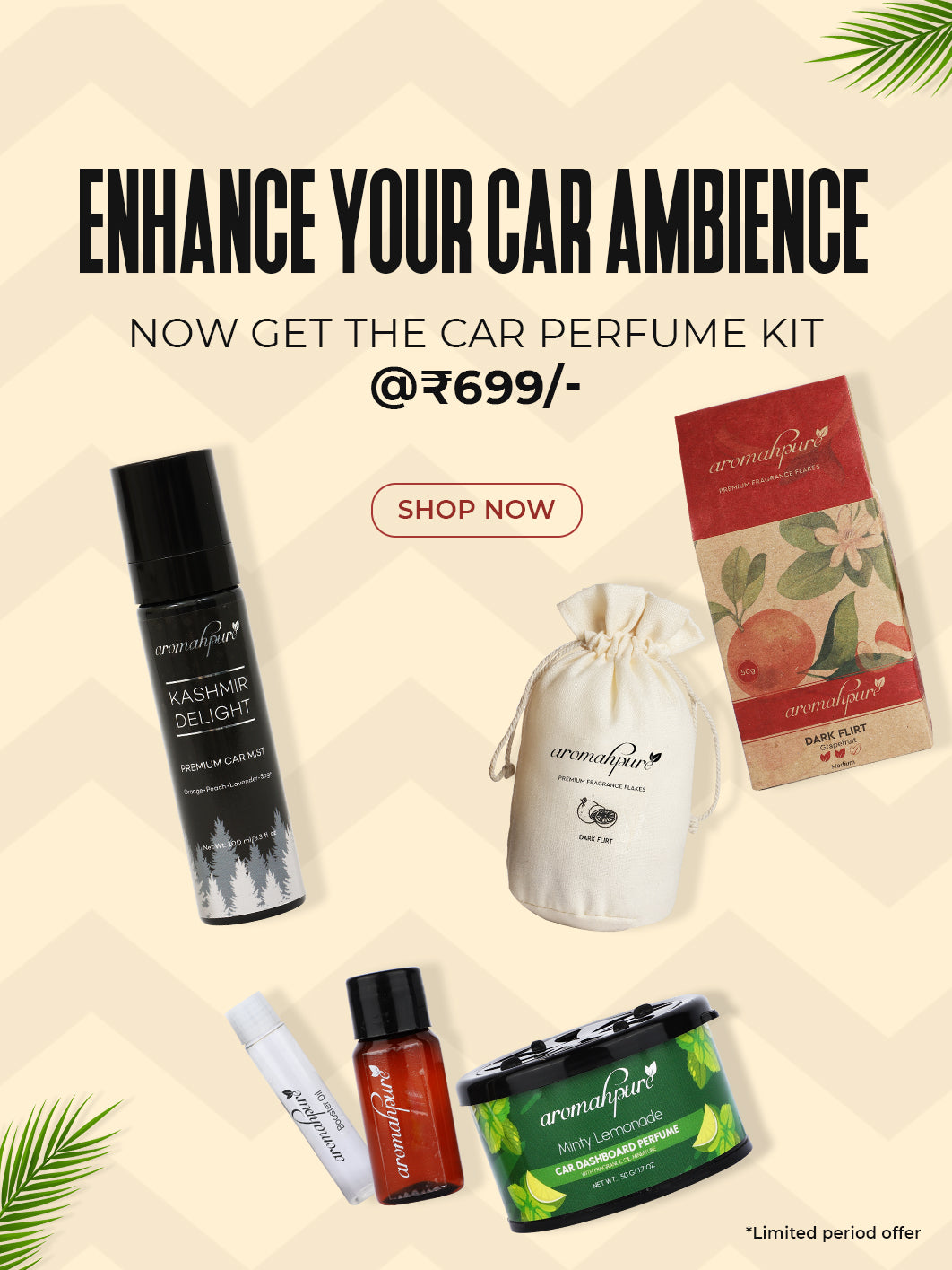 Enhance Your Car Ambience