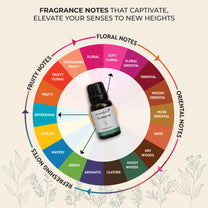 Eucalyptus Fragrance Oil