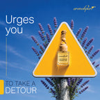 Aromahpure hanging pod car freshener - Urges you to take a detour