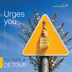 Aromahpure hanging pod car freshener - Urges you to take a detour