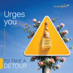 Aromahpure hanging pod car freshener - Urges you to take a detour