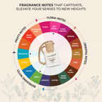 Fragrance notes of lavender fragrance