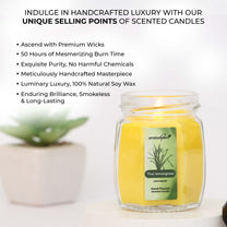 Aromahpure Soy Wax Small Octa Jar Candles, 50 Hours Burning Time Guaranteed (Frangipani Dreams, Thai Lemongrass)