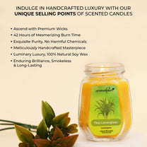 Aromahpure Soy Wax Big Octa Jar Candle, 84 Hours Burning Time Guaranteed (Thai Lemongrass, Frangipani Dreams)