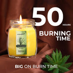 Aromahpure Frangipani Lemongrass Octa Candle View