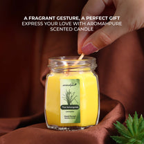 Aromahpure Soy Wax Small Octa Jar Candles, 50 Hours Burning Time Guaranteed (Frangipani Dreams, Thai Lemongrass)