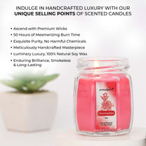 Aromahpure Soy Wax Small Octa Jar Candles, 50 Hours Burning Time Guaranteed (Frangipani Dreams, Charming Rose)