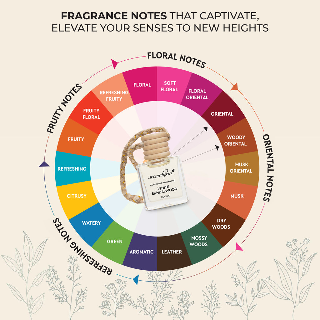 Fragrance notes