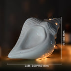 White Electric Ceramic Shell Diffuser with 15 ml Fragrance Oil ( Peppermint Sensation )