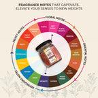 Aromahpure Vanilla Fantasy Octa Candle Overview