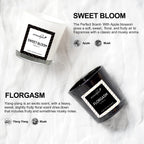 Soy Wax Luxury Scented Candles Assorted - product photo